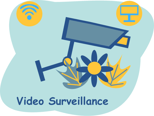 Video image